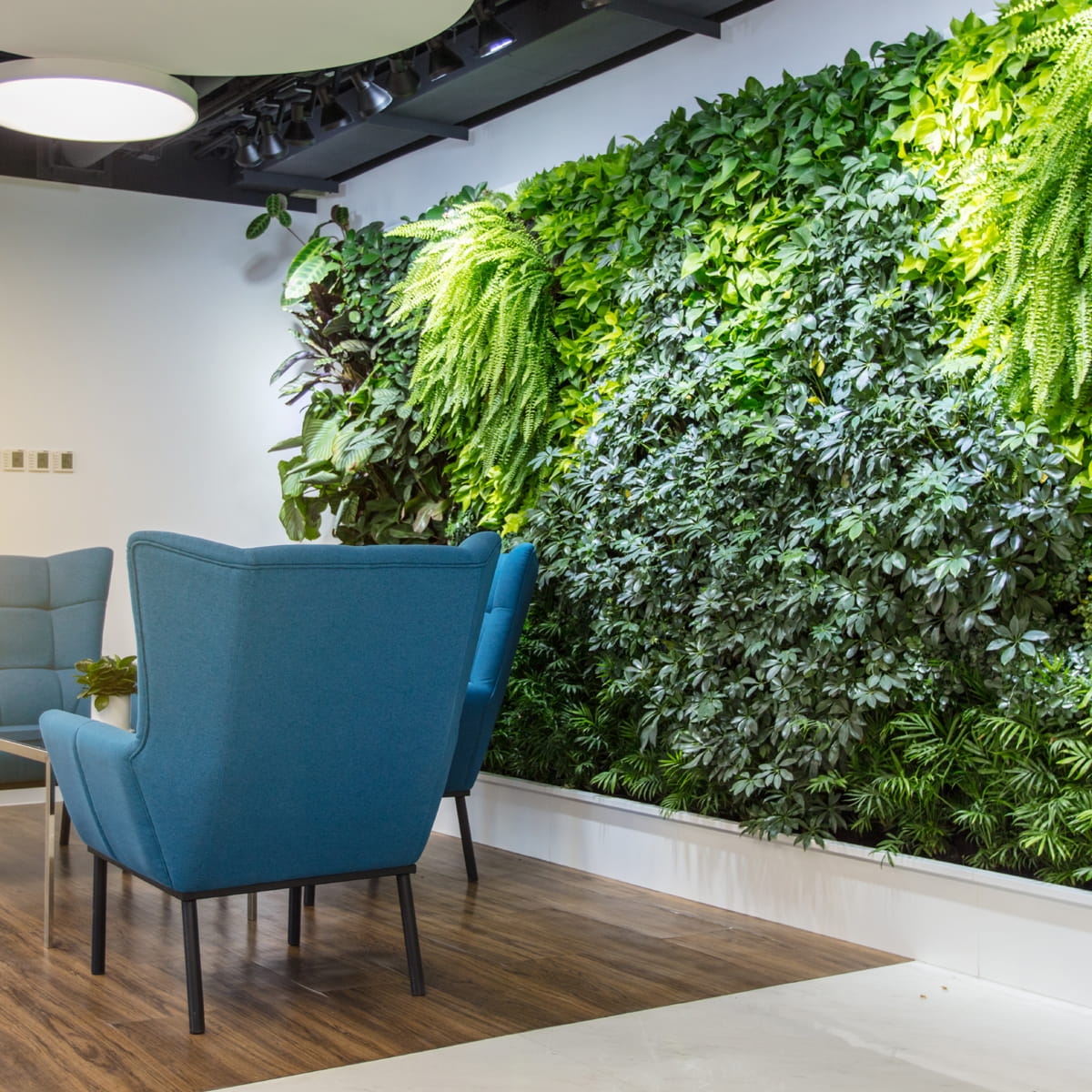 pixel garden ogród pionowy na ścianie cena