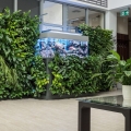 pixel garden ogród wertykalny do centrum handlowego cena