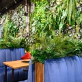 pixel garden ogród wertykalny restauracja cena za m2