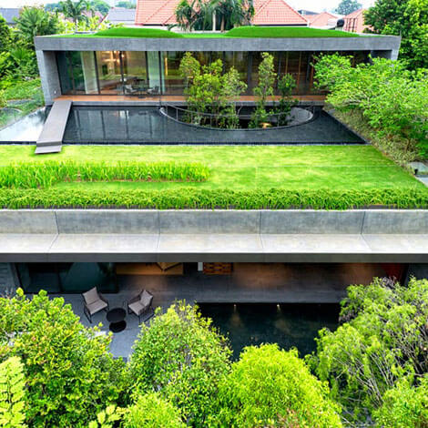 Rooftop gardens