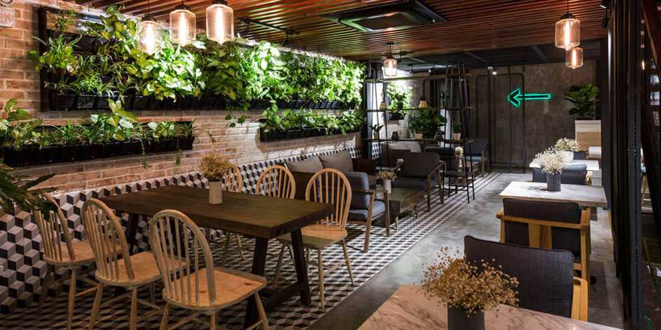 Plants for restaurants