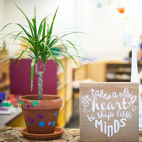 Plants for schools